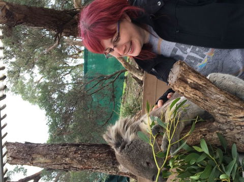 Phillip Island Penguin, Brighton Beach, Moonlit Sanctuary From Melbourne - Stayed 23