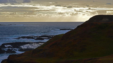 Phillip Island Penguin, Brighton Beach, Moonlit Sanctuary From Melbourne - Stayed 12