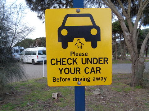 Phillip Island Penguin, Brighton Beach, Moonlit Sanctuary From Melbourne - Stayed 13