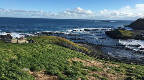 Phillip Island Penguin, Brighton Beach, Moonlit Sanctuary From Melbourne - Stayed 5