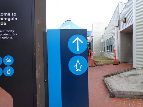 Phillip Island Penguin, Brighton Beach, Moonlit Sanctuary From Melbourne - Stayed 14