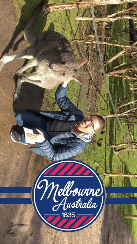 Phillip Island Penguin, Brighton Beach, Moonlit Sanctuary From Melbourne - Stayed 9