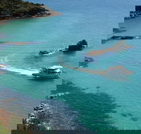 Cape Woolamai Sightseeing Cruise from San Remo - Stayed