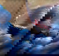 Small Group 6 guests Ultimate Mornington Peninsula Food and Wine - Stayed