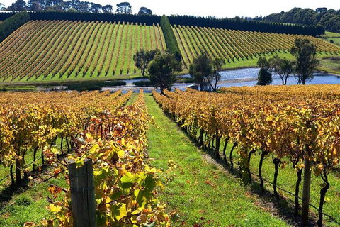 Small Group 6 Guests: Ultimate Mornington Peninsula Food And Wine - Stays Accommodation 3