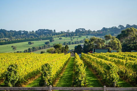 Private Wine Tours From Melbourne (price/group Not Per Person) - Stayed 1