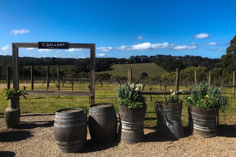 Private Wine Tours From Melbourne (price/group Not Per Person) - Stayed 12