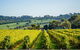 Private Wine Tours From Melbourne (price/group Not Per Person) - thumb 14