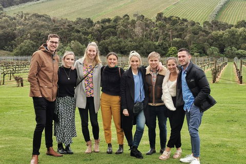 Private Wine Tours From Melbourne (price/group Not Per Person) - Stayed 11