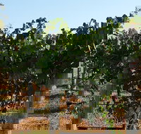 Wine Tasting Tour in The Yarra Valley - Stayed