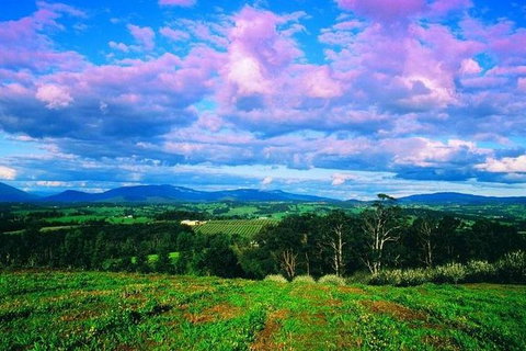 CHEVY CONVERTIBLE Package For 4 -Wine Lunch Cheese & Chocolate From Yarra Valley - Stayed 7