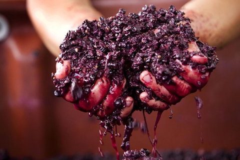 CHEVY CONVERTIBLE Package For 4 -Wine Lunch Cheese & Chocolate From Yarra Valley - Stayed 5