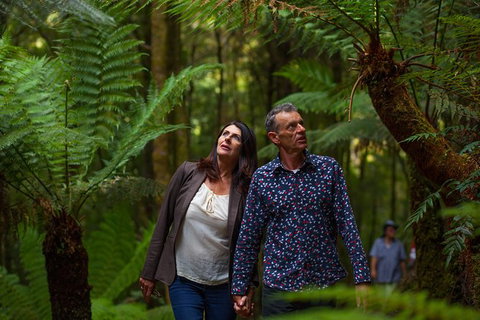 West Coast Wilderness Railway: River And Rainforest From Strahan - Stayed 1