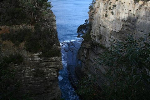 Cruise Ship Special From Port Arthur: Explore Tasman Peninsula With Free WiFi - Stayed 1