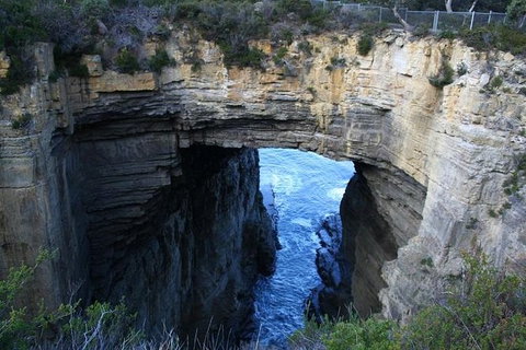 Cruise Ship Special From Port Arthur: Explore Tasman Peninsula With Free WiFi - Stayed 0