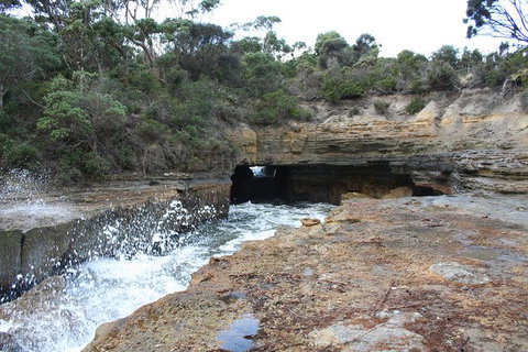 Cruise Ship Special From Port Arthur: Explore Tasman Peninsula With Free WiFi - Stayed 7