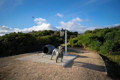 Cruise Ship Special From Port Arthur: Explore Tasman Peninsula With Free WiFi - Stayed 9