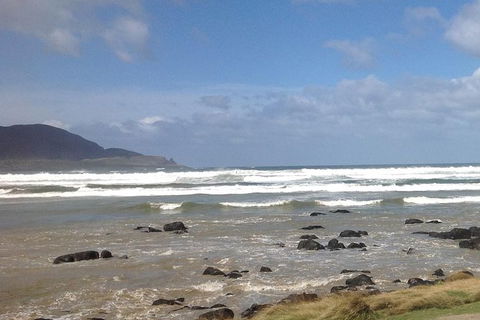 Private Bruny Island Nature Day Trip From Hobart - Stayed 0