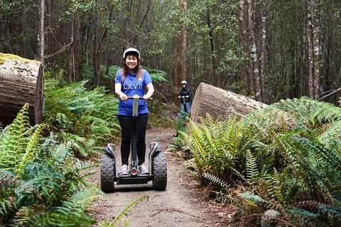 Hollybank Wilderness Adventures - Segway Tour - Stayed 2