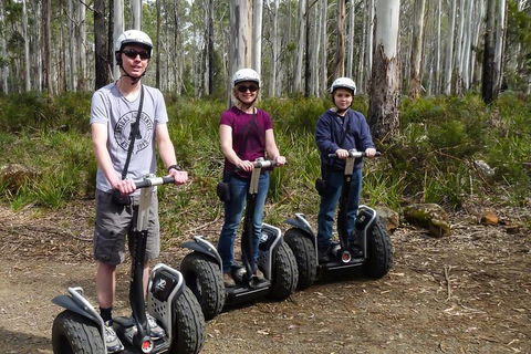 Hollybank Wilderness Adventures - Segway Tour - Stayed 3