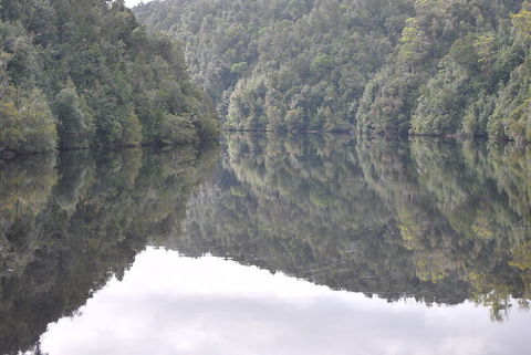 Gordon River Cruise Departing From Strahan - Stayed 17