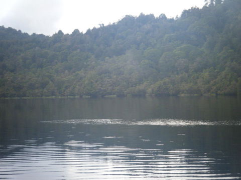 Gordon River Cruise Departing From Strahan - Stayed 23