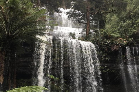 Wilderness And Wildlife - Stayed 1