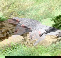 Day Keeper Tour - Stayed