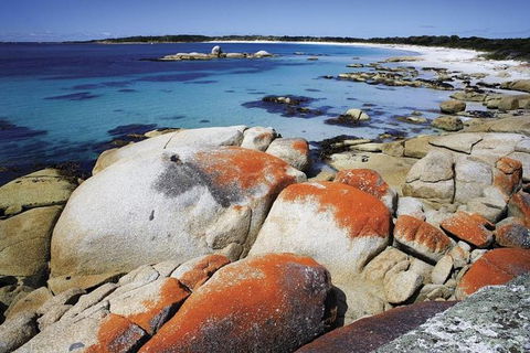 Highlights Of Tasmania 5-Day Small-Group Tour From Hobart - Stayed 1