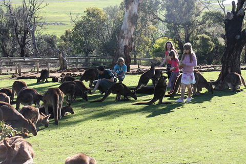 The Port Arthur MEGA Day Trip From Hobart - Stayed 5