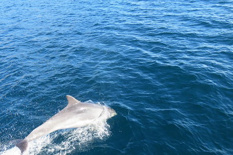 North Bruny Island Day Sail - Stayed 3