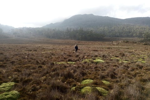 The Walls Of Jerusalem Supported Trekking Tour - Stayed 4
