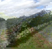 Coal River Valley  Hobart food  wine grazing tour - Stayed