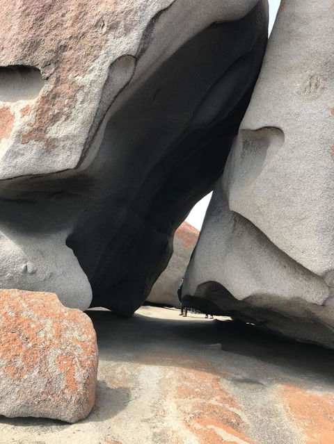 Kangaroo Island In A Day Tour From Adelaide - Stayed 7