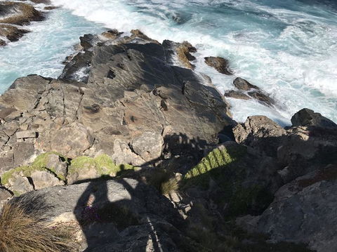 Kangaroo Island In A Day Tour From Adelaide - Stayed 3