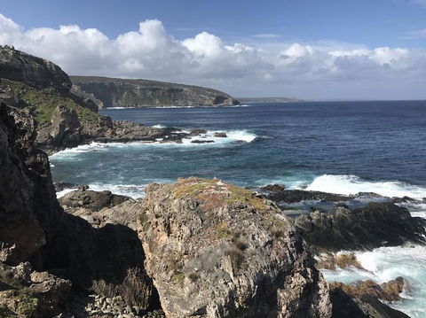 Kangaroo Island In A Day Tour From Adelaide - Stayed 4