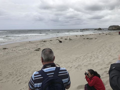 Kangaroo Island In A Day Tour From Adelaide - Stayed 10