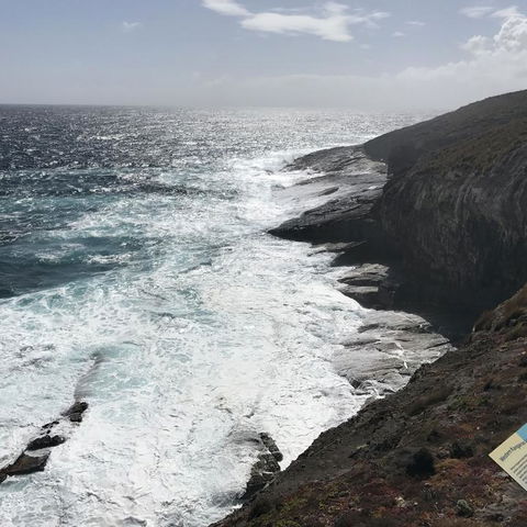 Kangaroo Island In A Day Tour From Adelaide - Stayed 6