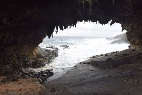 Kangaroo Island In A Day Tour From Adelaide - Stayed 18