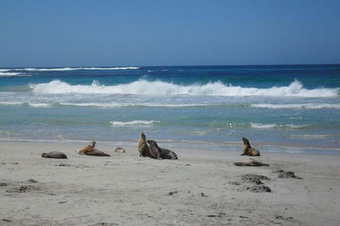 Kangaroo Island In A Day Tour From Adelaide - Stayed 26