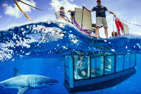 White Shark Tour With Optional Cage Dive From Port Lincoln - Stayed 3