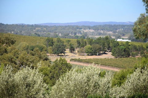 Barossa Valley Food And Wine Tour - Stayed 2