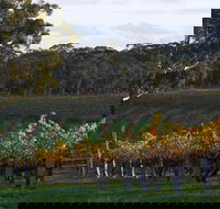 Barossa Valley with Hahndorf Tour from Adelaide - Stayed