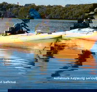 Adelaide Dolphin Sanctuary and Ships Graveyard Kayak Tour - Stayed