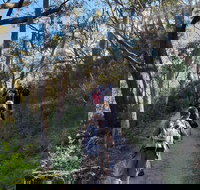 Mount Lofty Hike and Cleland Wildlife Park Day Trip from Adelaide - Stayed