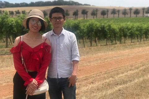 Adelaide City Highlights With Hahndorf And Mt. Lofty - Stays Accommodation 10