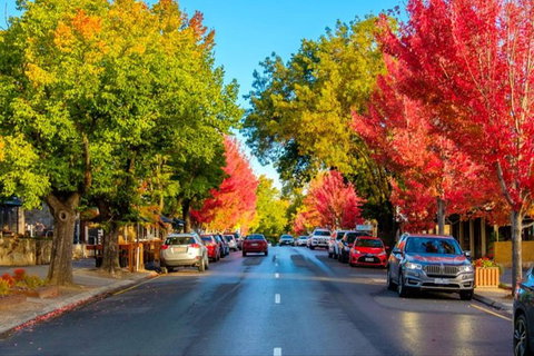 Adelaide City Highlights With Hahndorf And Mt. Lofty - Stays Accommodation 7