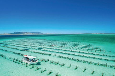 Coffin Bay Day Tour - A Taste Of Coffin Bay - Stayed 0