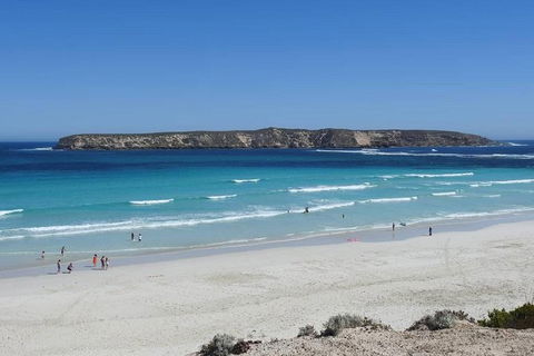 Coffin Bay Day Tour - A Taste Of Coffin Bay - Stayed 12