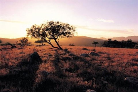 Adelaide To Coober Pedy 7 DAY SMALL GROUP 4WD SAFARI - Stays Accommodation 0